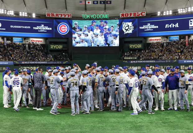 Cubs and Hanshin Tigers players and coaches greet one another...
