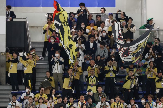 A band of baseball fans cheer for the Hanshin Tigers...