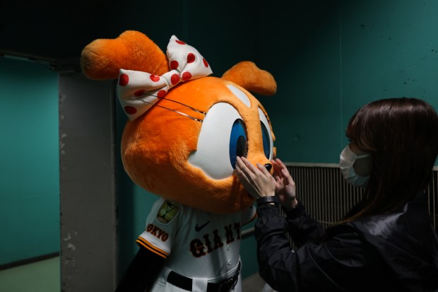 A mascot for the Yomiuri Giants is prepped by a...