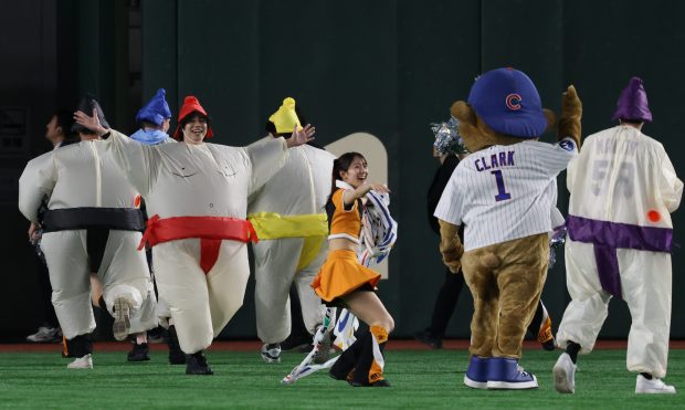 Fans wearing inflatable sumo costumes complete a race in the...