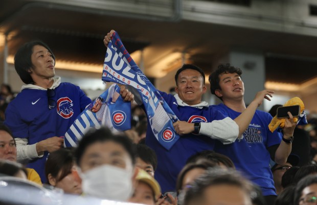 Cubs fans dance and cheer at the start of the...