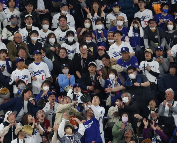 Fans reach for a batting practice home run ball before...