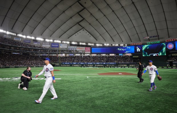 Cubs designated hitter Seiya Suzuki, left, and starting pitcher Shota...