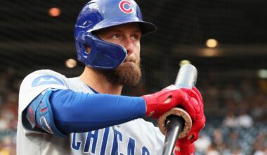 5 Things Cubs Fans Should Be Thankful For This Thanksgiving - Cubs