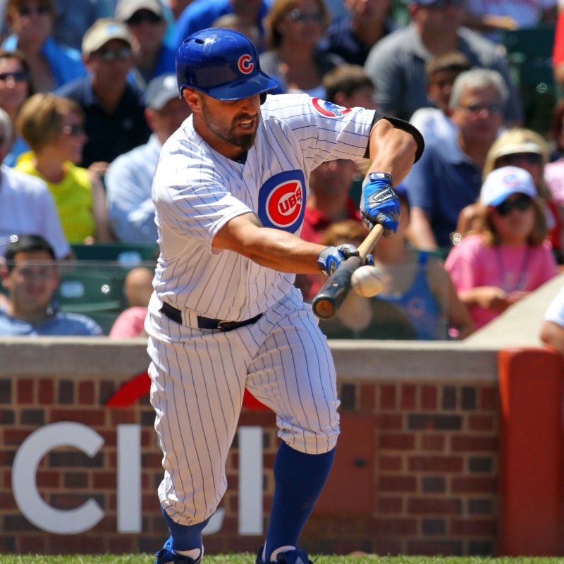 Reed Johnson - The Chicago Cubs Players Project