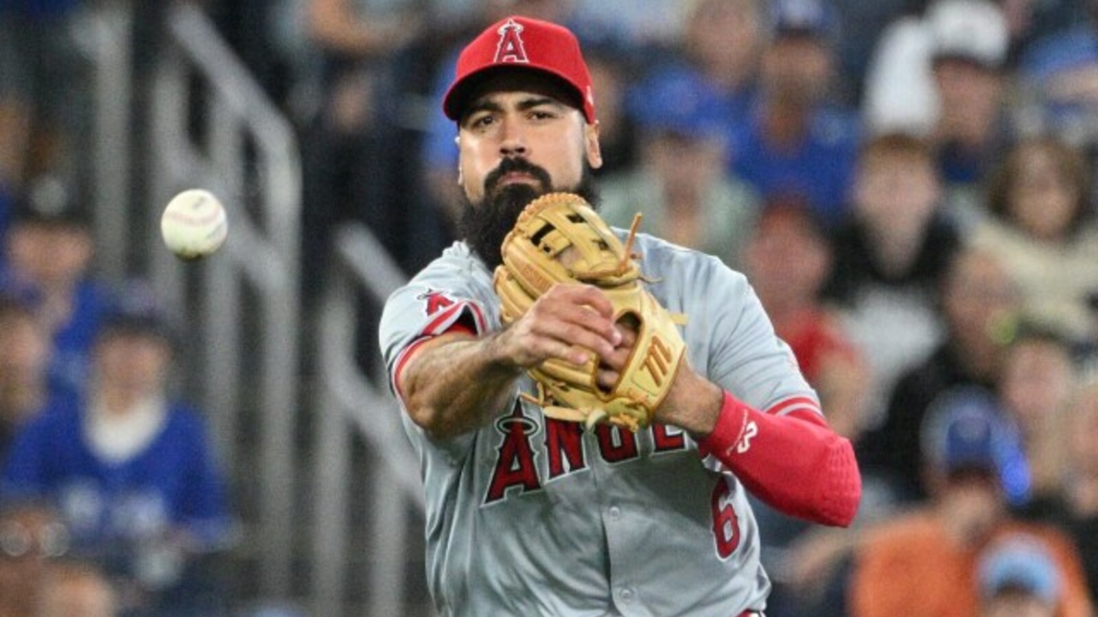 Los Angeles Angels Finally Realize Their Mistake With Anthony Rendon Contract