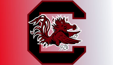 2025 Fall College Baseball Reset: South Carolina