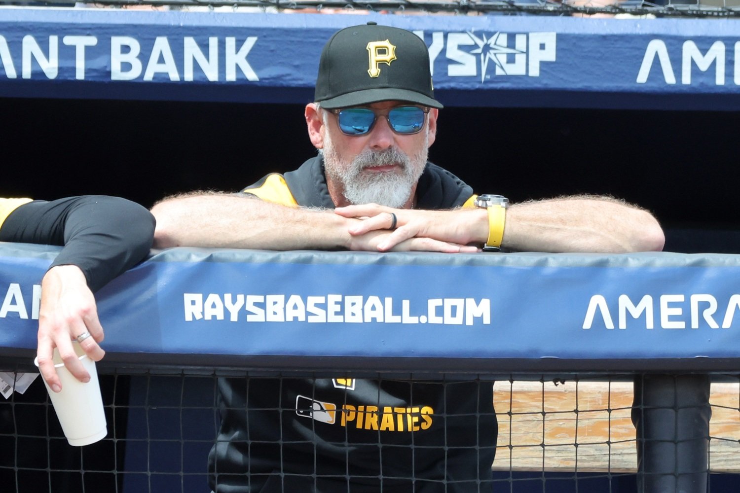 Hiring Derek Shelton Suggests the Status Quo Isn't Going Anywhere - Twins