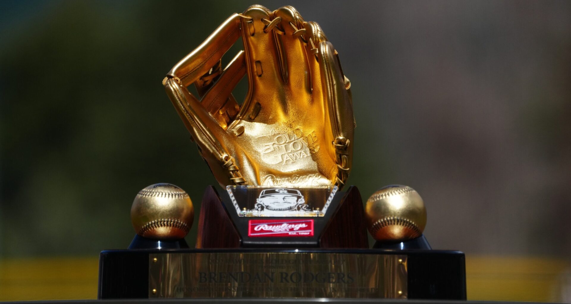 Astros Utility Man Wins Second Gold Glove Award