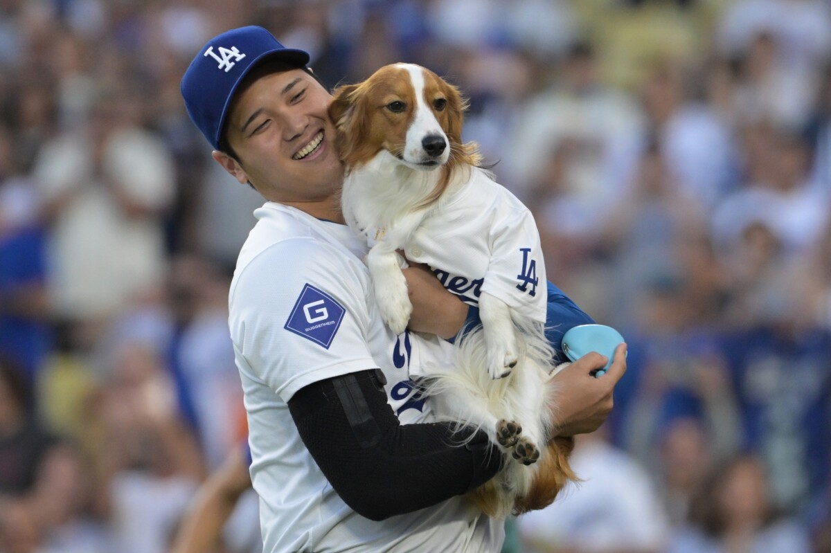 Dodgers' Shohei Ohtani Announces New Foundation to Help Children, Animals