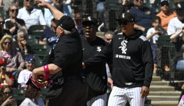 Former White Sox Hitting Coach Joins Division Rival