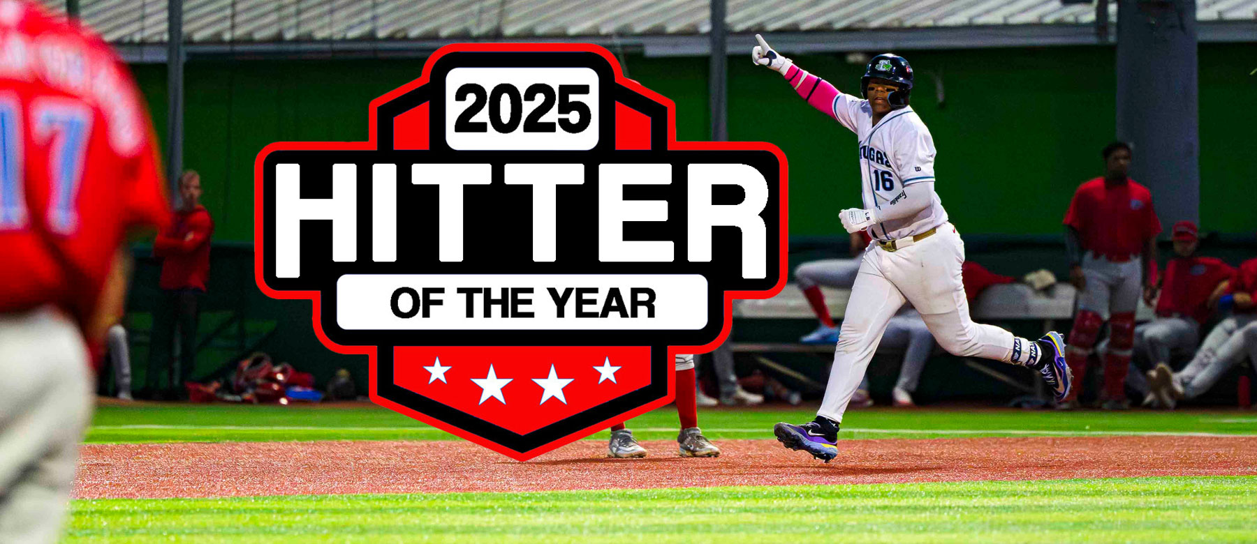 2025 Cincinnati Reds MiLB Hitter of the Year: Alfredo Duno