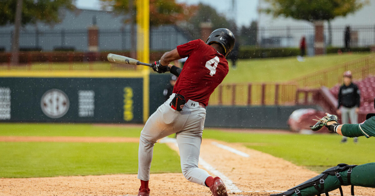 Baseball Defeats Charlotte in Fall Game – University of South Carolina Athletics