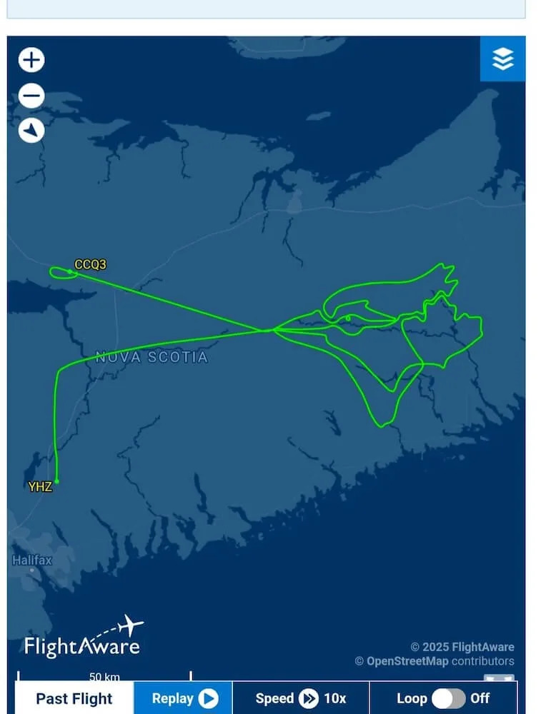 One fan took a Blue Jays World Series run celebration to the extreme — and others are calling him out for the unnecessary pollution done by his 