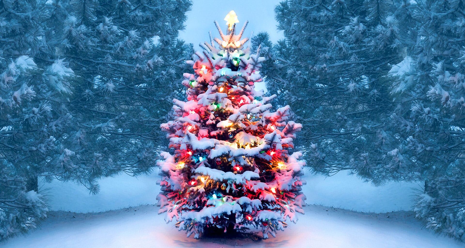 Cardinals to host 14th annual Holiday Gift Drive – Newstalk KZRG