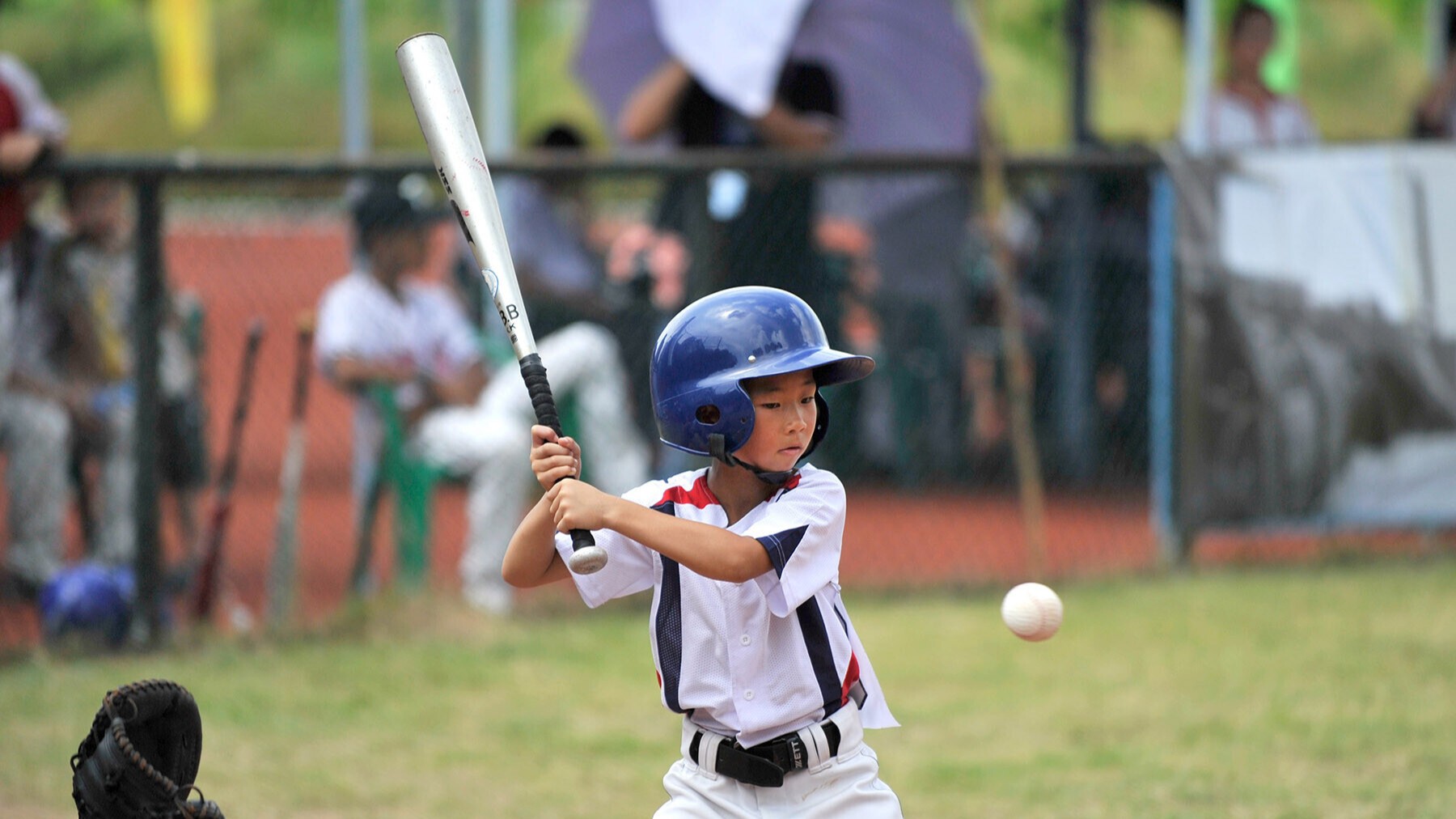 InPics | Zhongshan, "Baseball City," strives for a home run