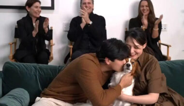 Download app from appStore