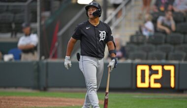 Tigers protect Thayron Liranzo, Hao-Yu Lee and others from Rule 5 draft