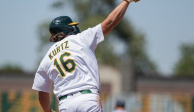 Elephant Rumblings: AL Silver Sluggers announced today