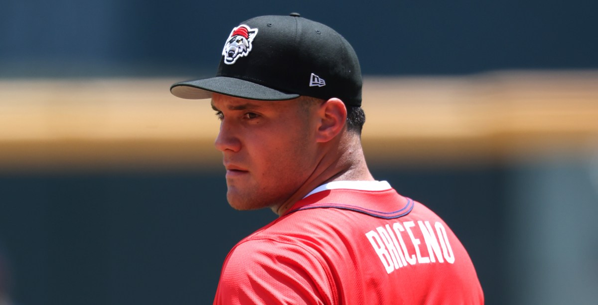 The Detroit Tiger’s farm is stacked with hitting talent for 2026.