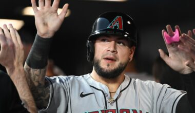 2025 Arizona Diamondbacks Player Reviews: #42 José Herrera