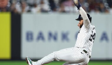 Yankees International Winter Ball Roundup