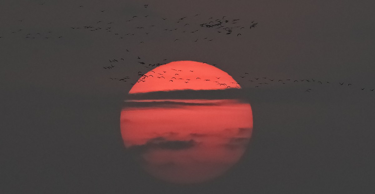 Snake Bytes, 11/3: The Offseason begineth