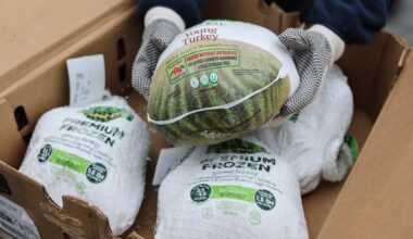 Guardians News and Notes: It’s Thanksgiving Week. Not Much.