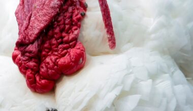 What baseball thing are you gonna be thankful for next Thanksgiving?