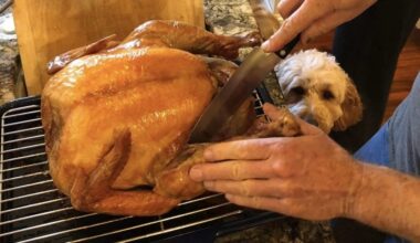 Thanksgiving Day burnt ends | Royals Review