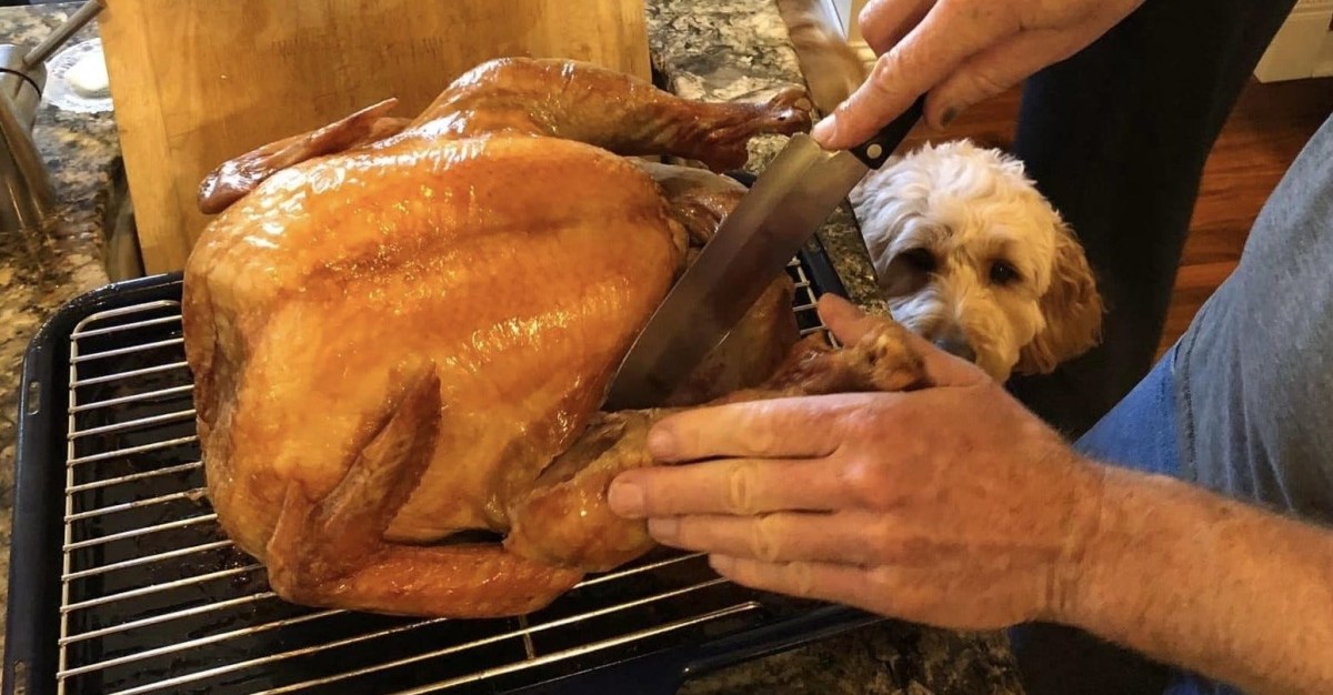 Thanksgiving Day burnt ends | Royals Review