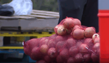 Cincinnati Reds, Freestore Foodbank join forces to combat holiday hunger