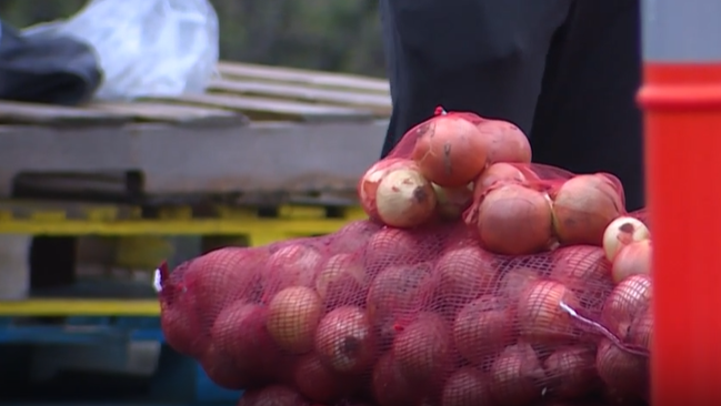 Cincinnati Reds, Freestore Foodbank join forces to combat holiday hunger