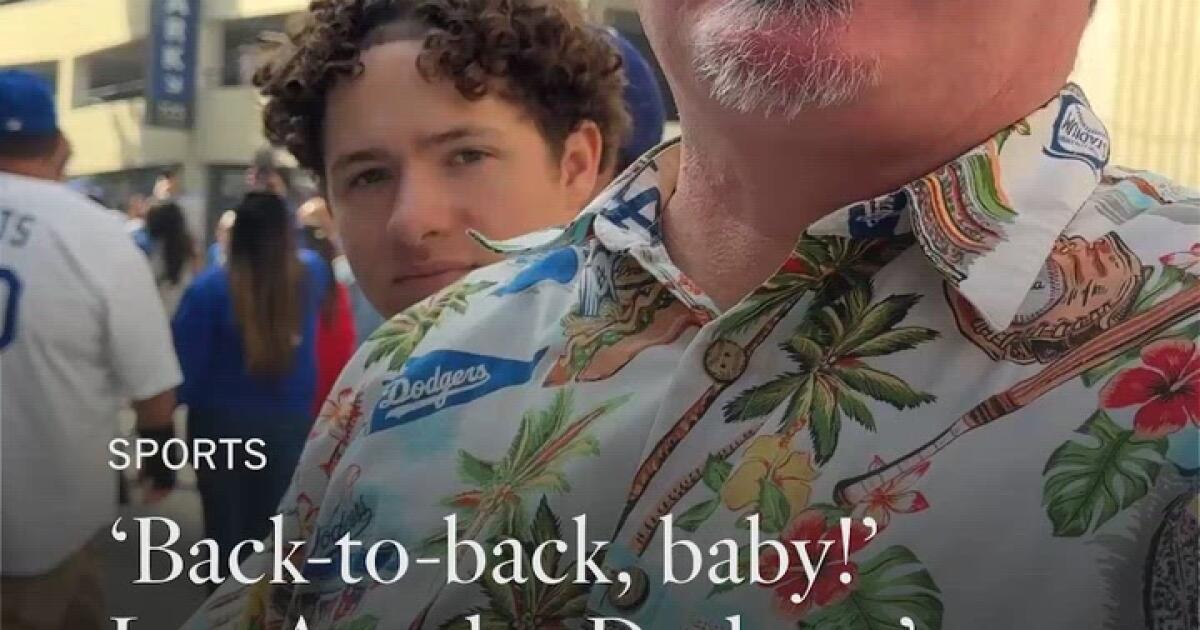 'Back-to back, baby!' Los Angeles Dodgers' victory parade fills downtown with fans