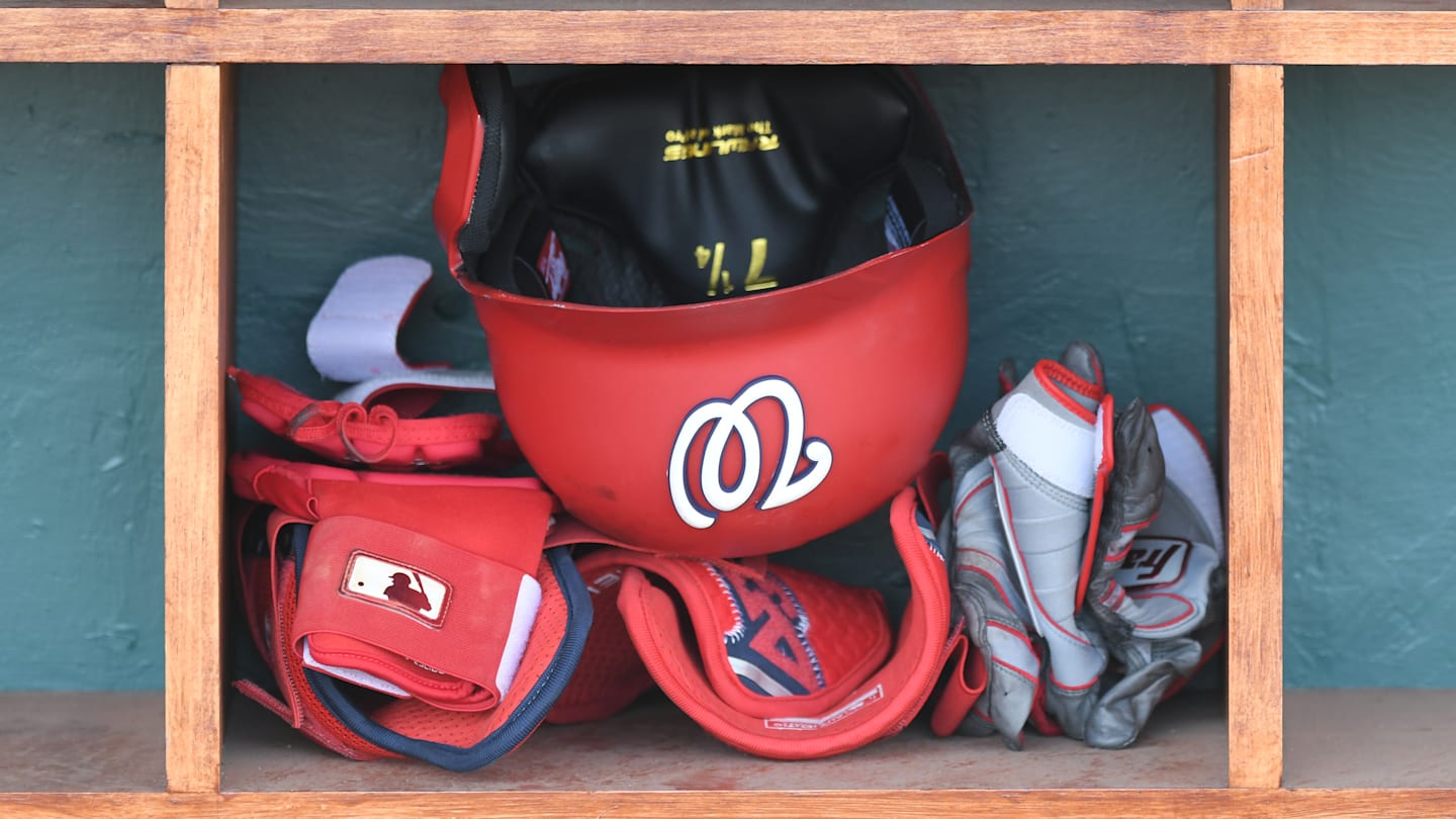 Washington Nationals v Detroit Tigers