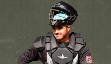 Under-the-Radar Catcher Played Small Role for 2025 D-backs