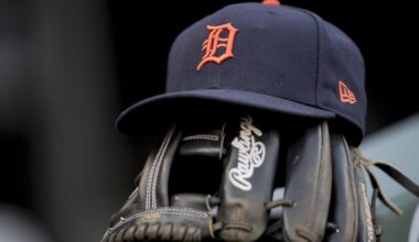 detroit tigers view hat