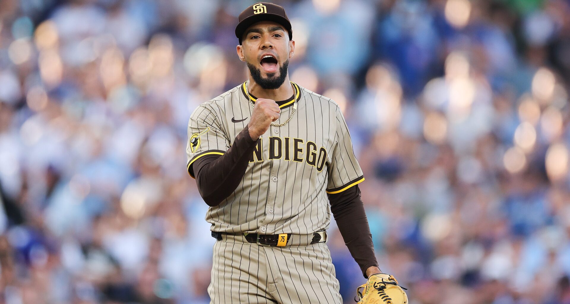 San Diego Padres Free Agent Signs Deal With Rival NL Team