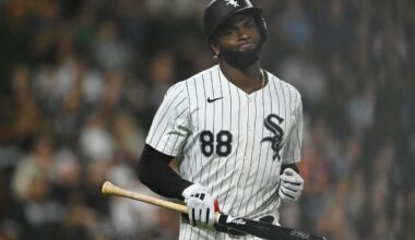 Chicago White Sox outfielder Luis Robert Jr.
