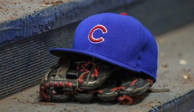Cubs Pair Named To Top MLB Playoff Performers List