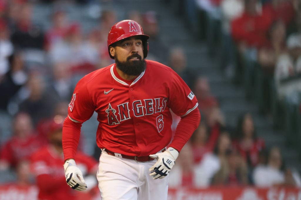 Celebrity Net Worth logo