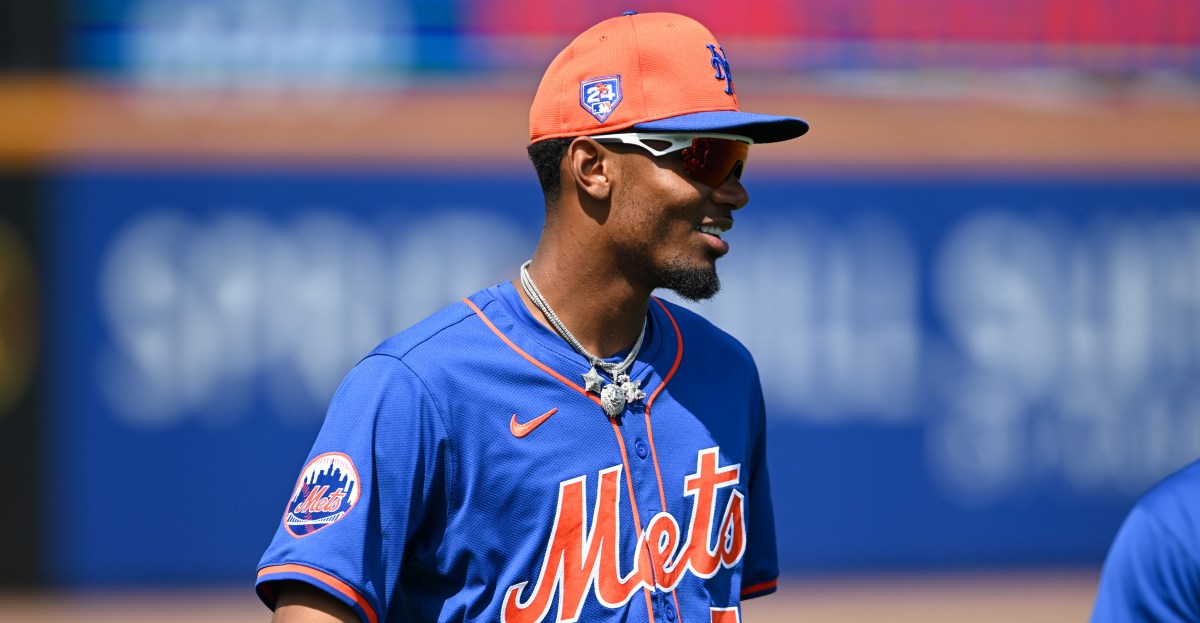 Mets Minor Leagues - 2025 Mets Minor League In Memoriam: Outfielders