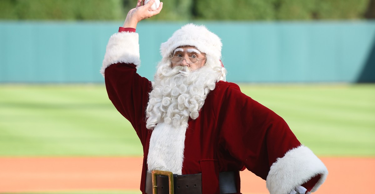It’s a Merry Christmas in Birdland