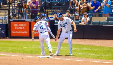 Rays Trade Brandon Lowe and Shane Baz For Prospects