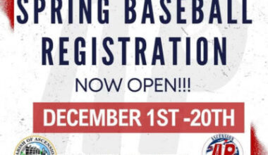 AP Baseball Little League Registration ongoing | Pelican Post