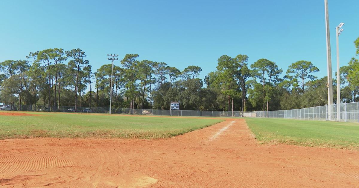 Alva youth baseball returns as league revives in 2026 | Lee County