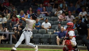 Diamond Baseball Holdings buys Fayetteville Woodpeckers