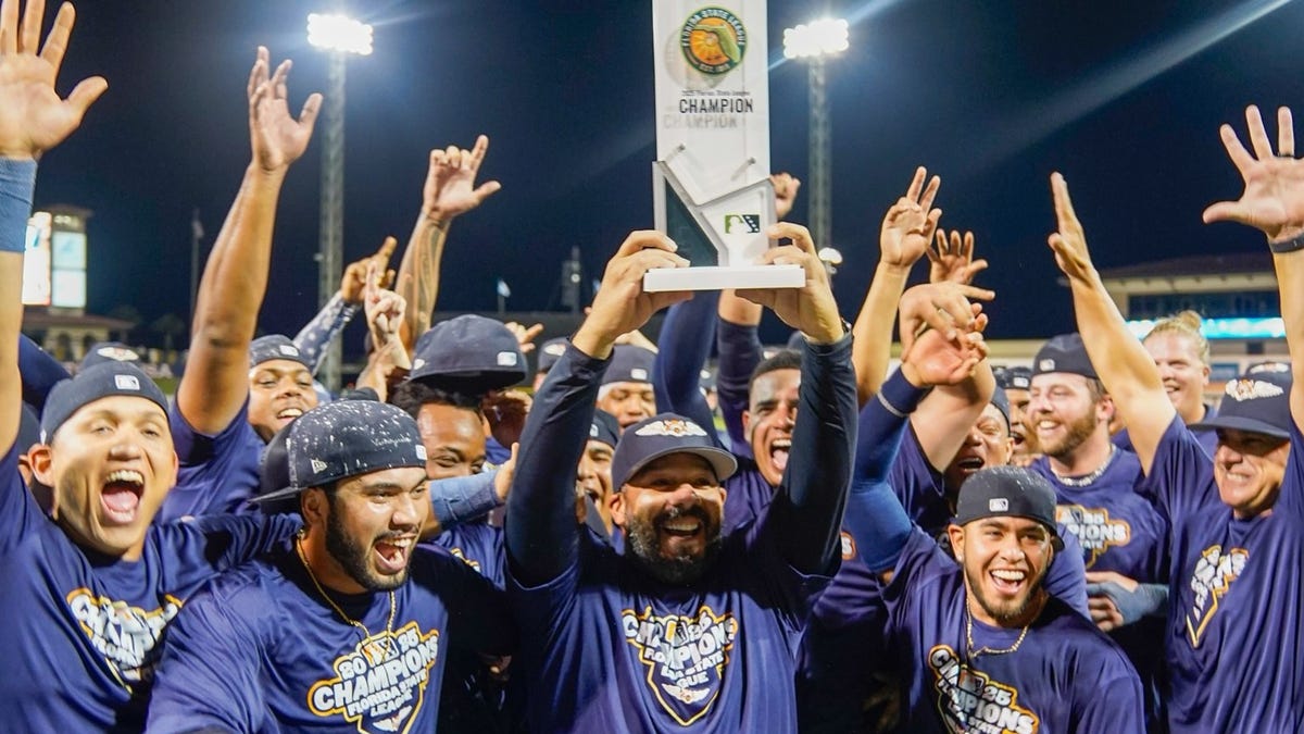 Flying Tigers Spring Training baseball tickets available to buy