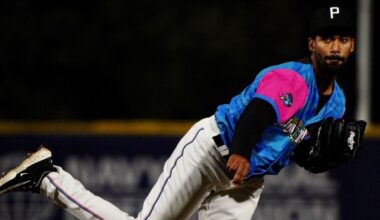 Barrie Baycats sign Dominican RHP Breidy Encarnacion