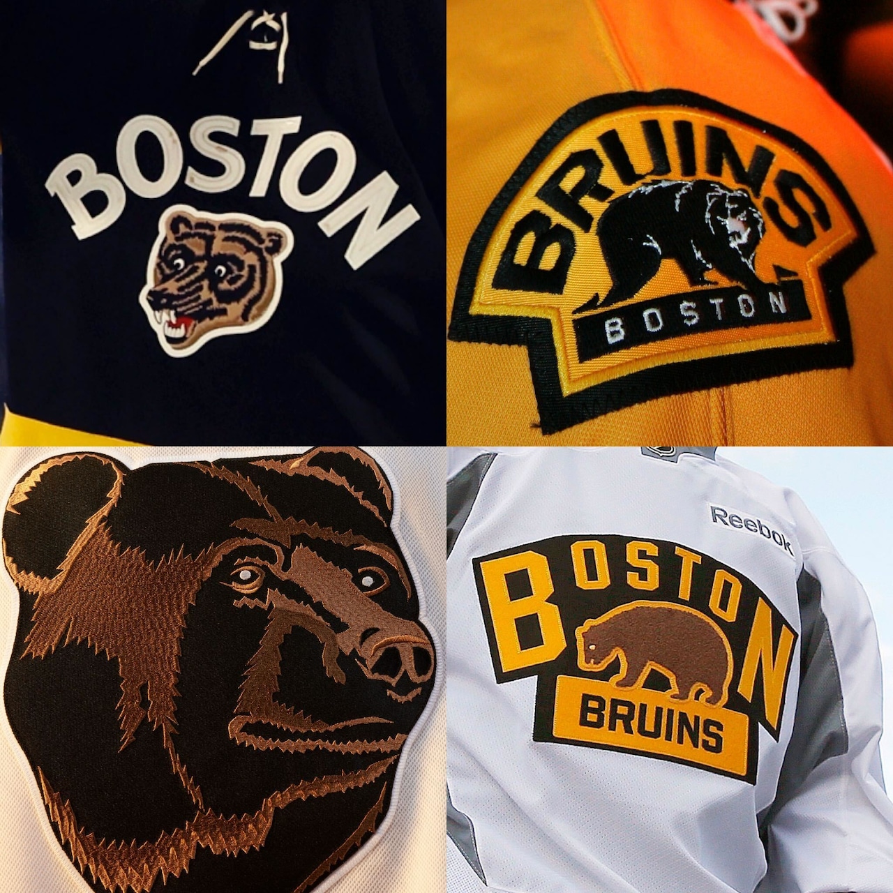 Bruins Bears
